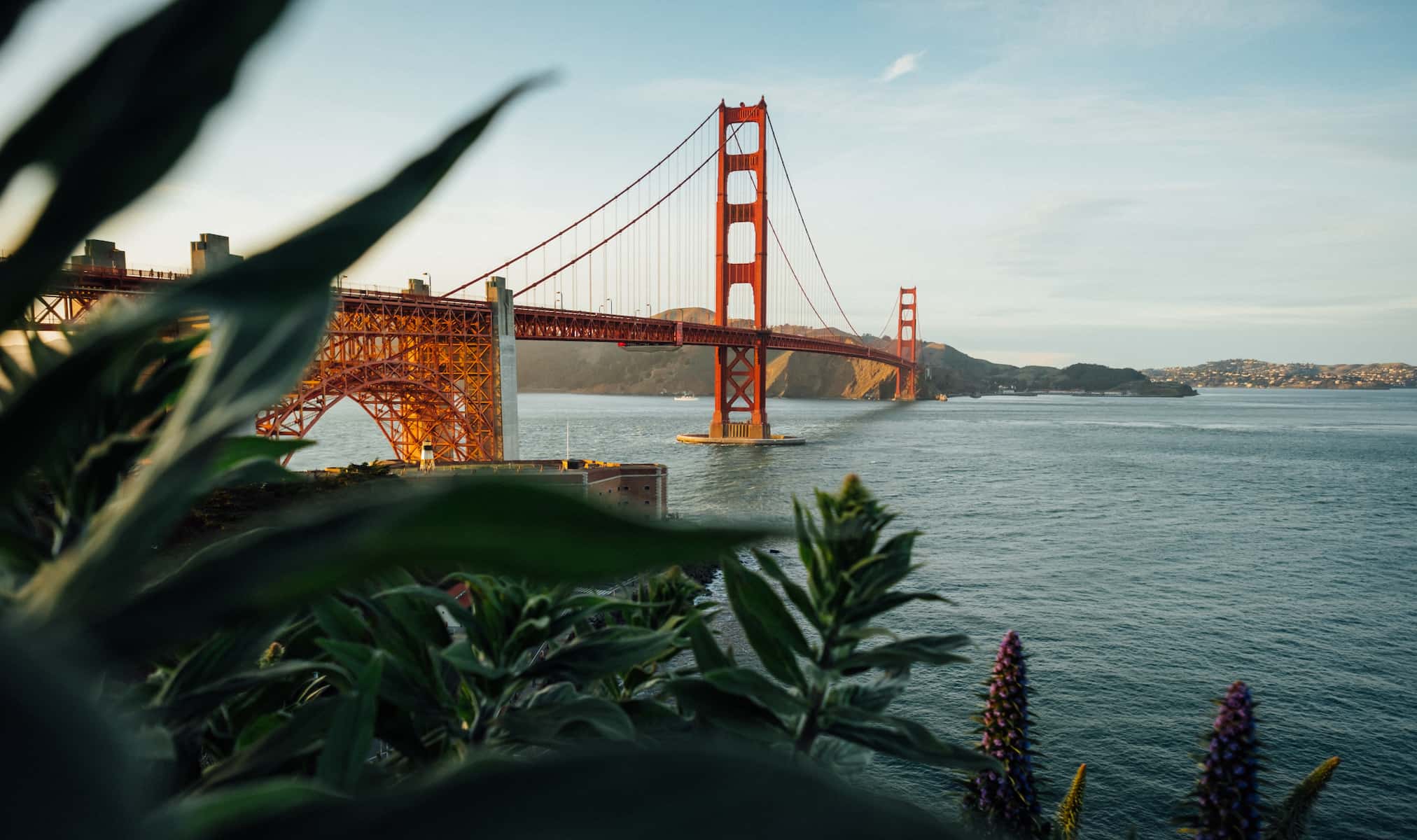 72 Hours in San Francisco: A Weekend Stroll Through Hilly Streets
