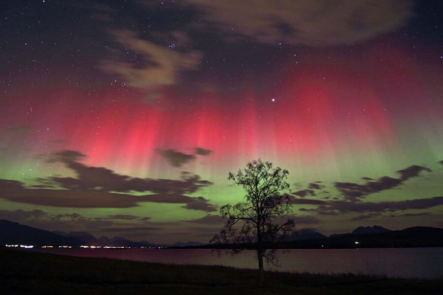 pinks and greens of the northern lights color the night sky