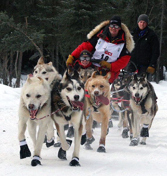 a dog racing team running in the iditarod dog sledding competition