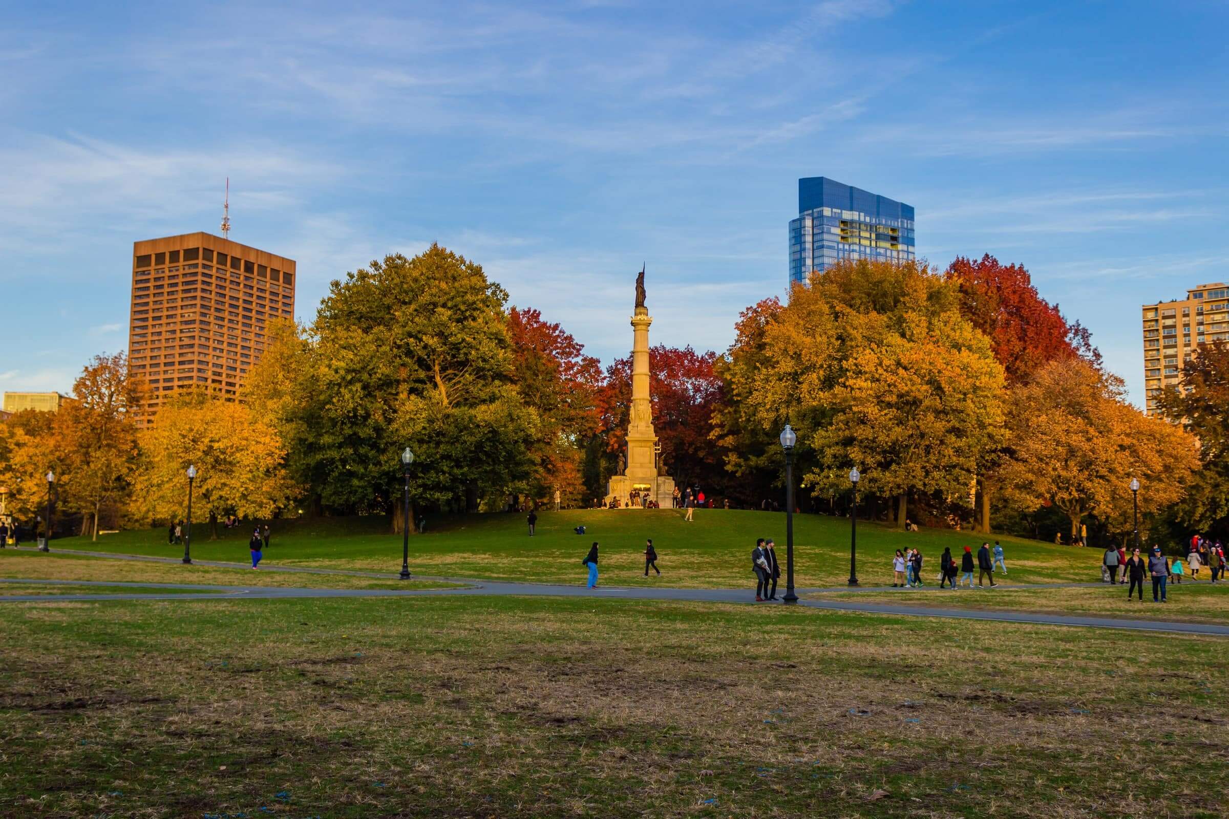 the landscape of the boston public garden