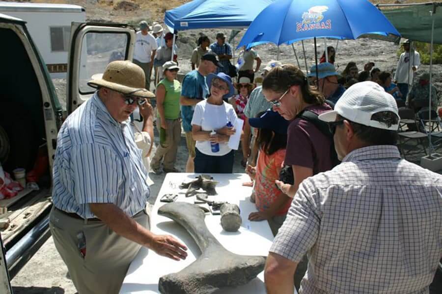 a tour group explores dinosaur bones at a dinosaur dig
