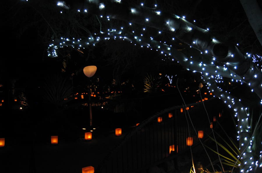 lights at the Las Noches de las Luminarias festival
