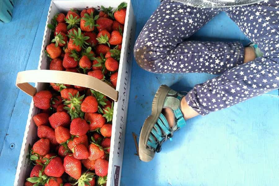a young girl has picked her own strawberries in a basket sitting next to her