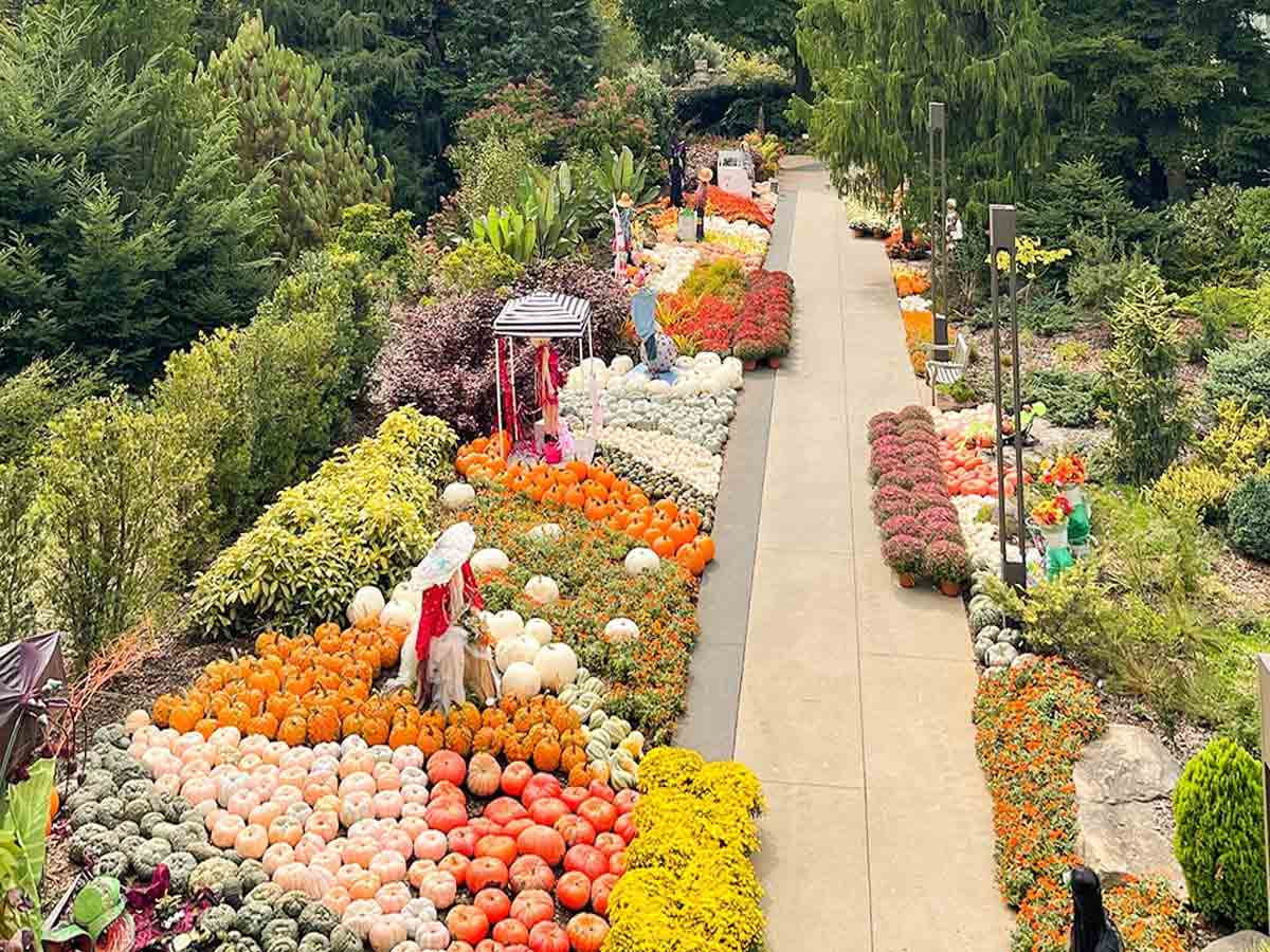 displays of pumpkins and rows of flowers at the atlanta botanical garden