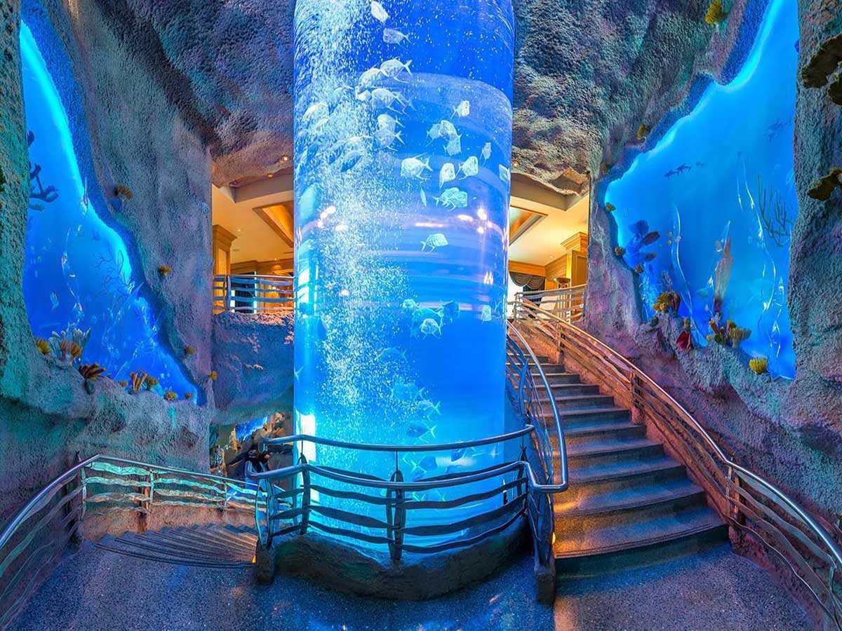 an interior view of Downtown Aquarium