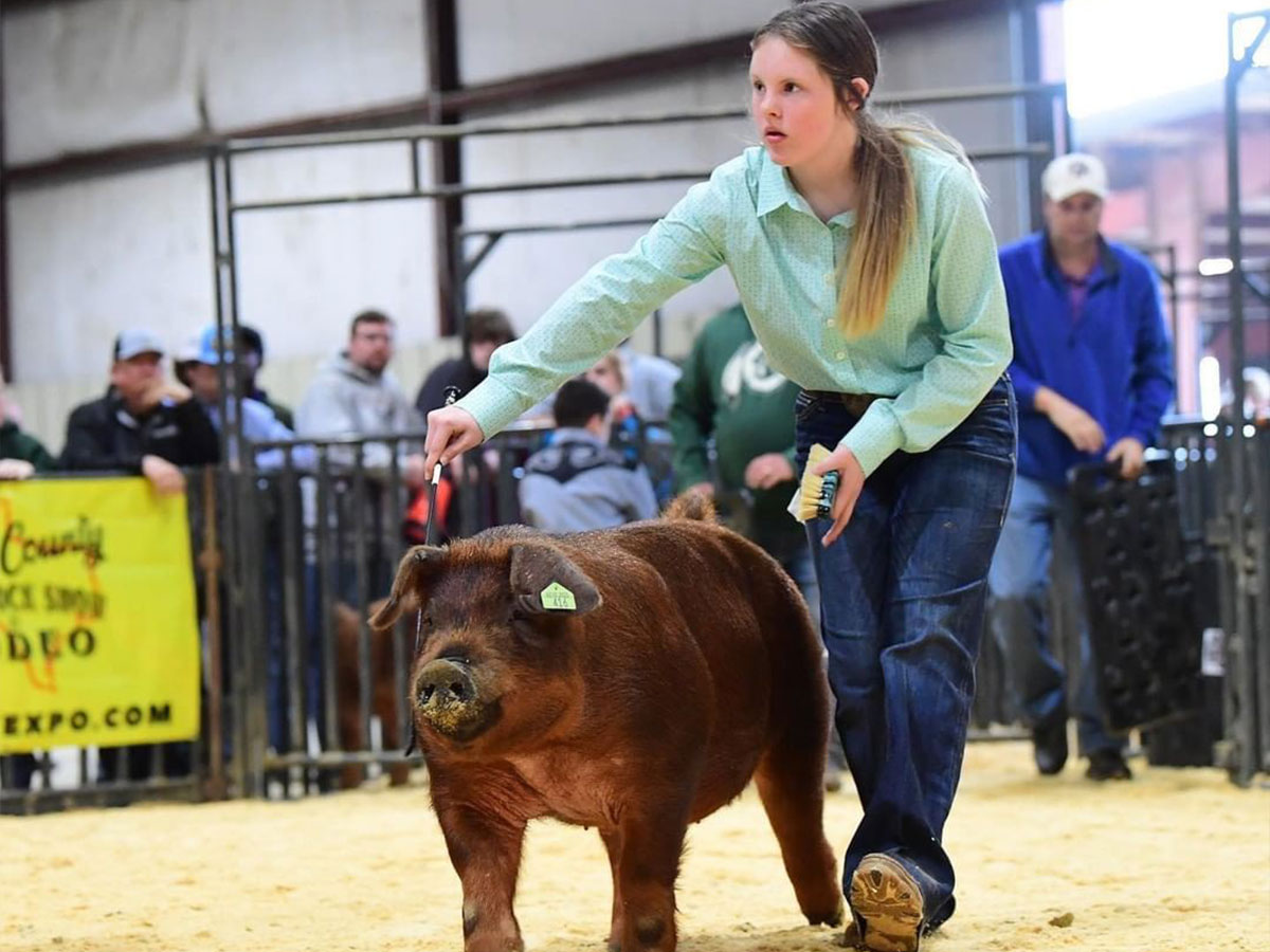 a girl showing a pig at the livestock and rodeo show