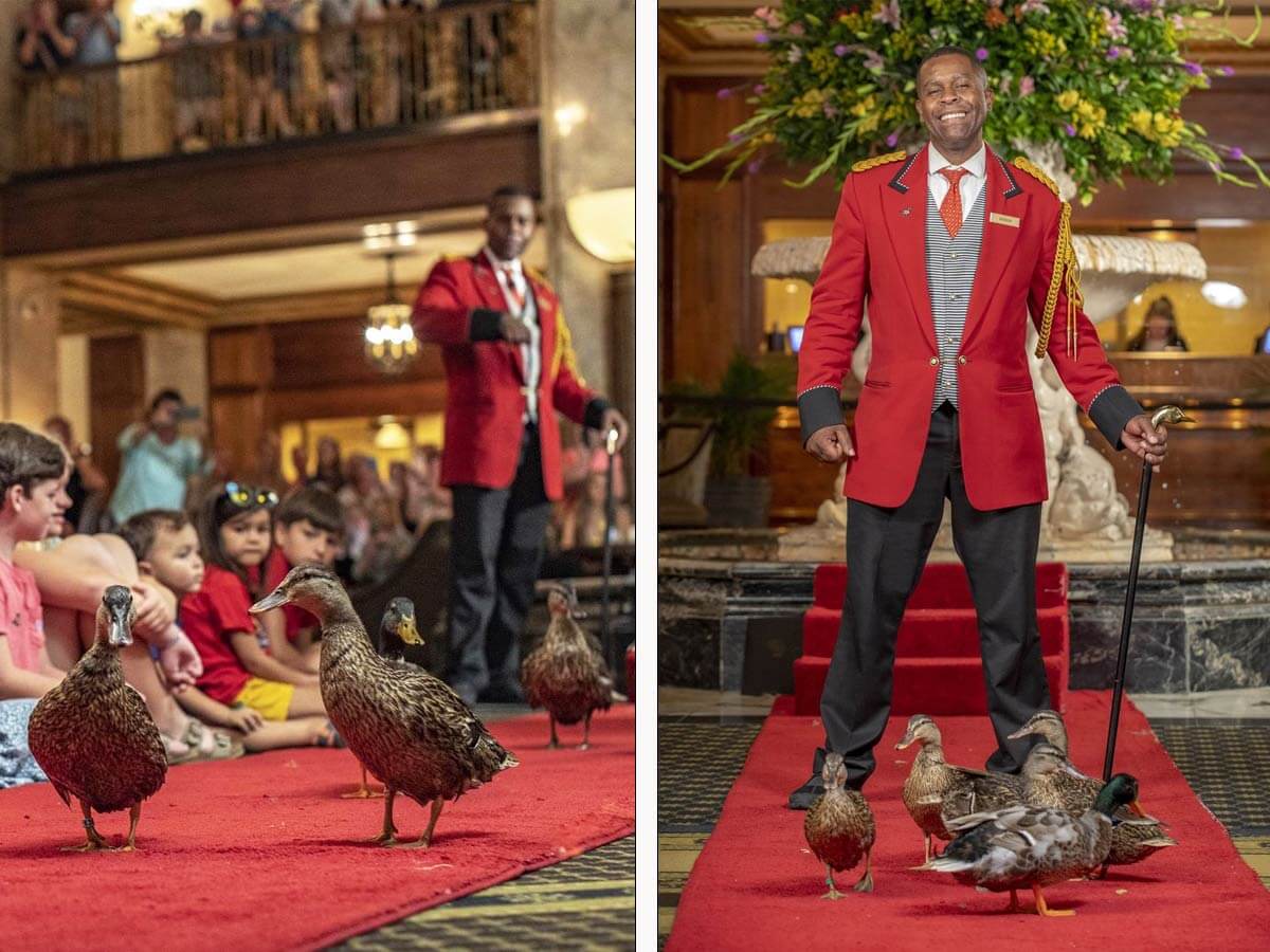 the ducks at the peabody hotel in memphis