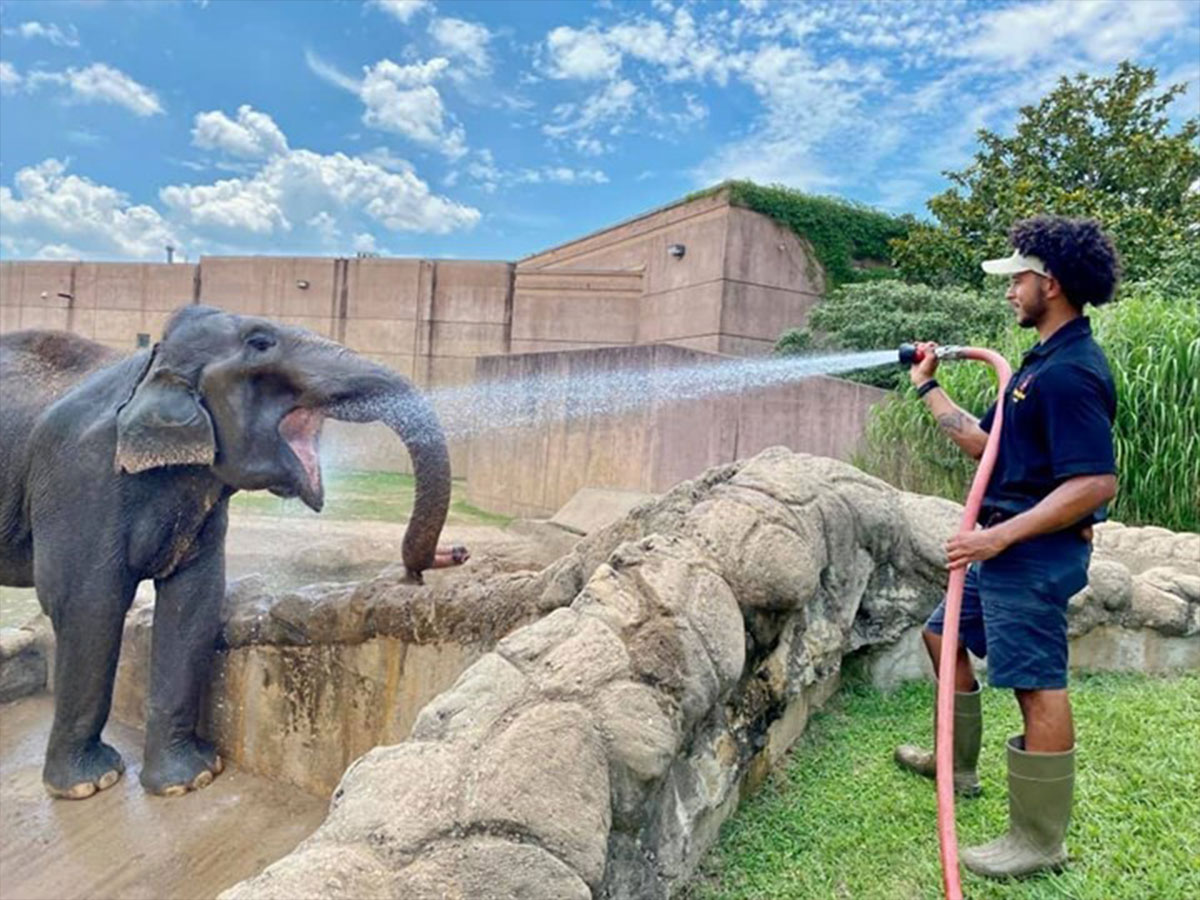 an elephant being sprayed with water at the tulsa zoo