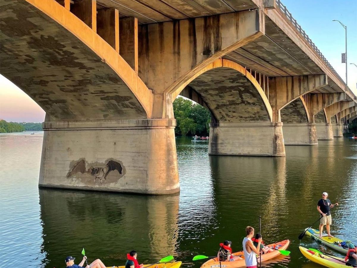 kayakers and paddleboarders floating underneath the congress avenue bridge in austin texas