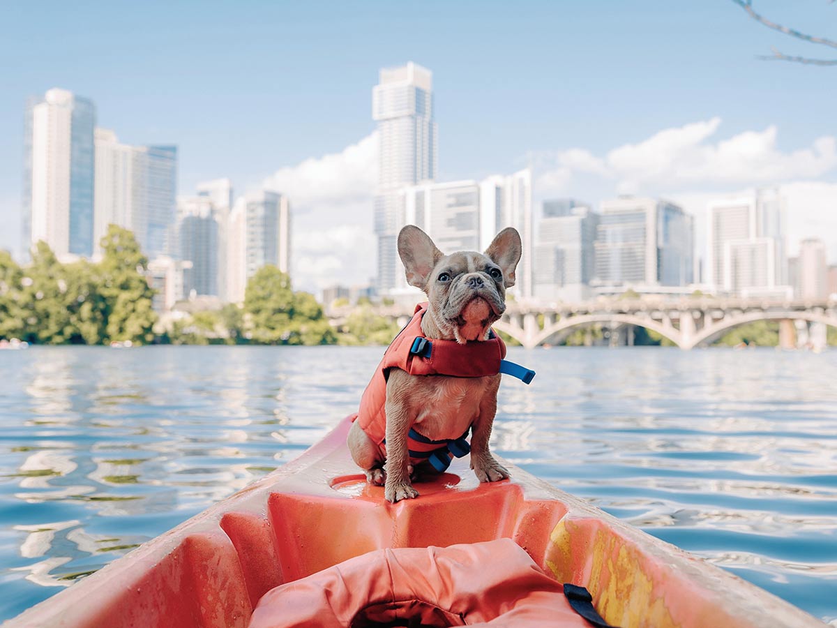 a dog on a kayak floating on lady bird lake in downtown austin