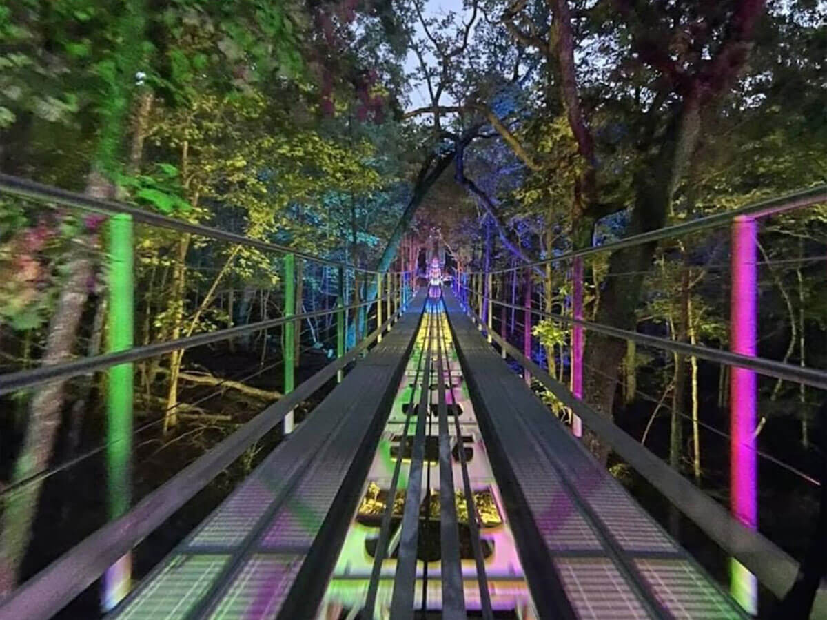 the mountain coaster at night in colorful lights at shepherd of the hills