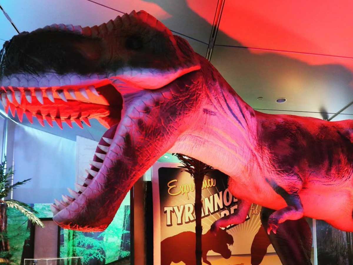 a tyrannosaurus exhibit at the gulf coast exploreum science center
