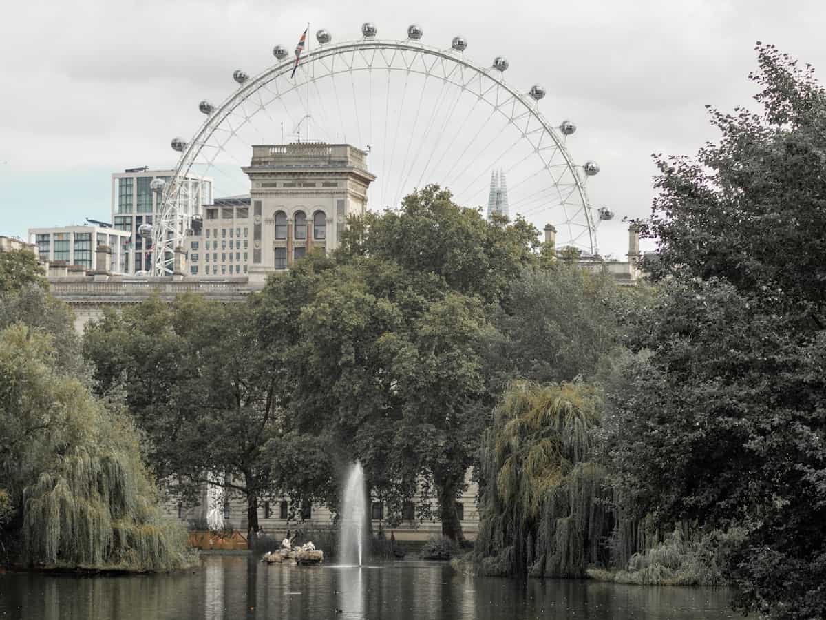 the london eye observation wheel peeks above trees in st. james park