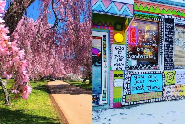 Things to do in Lexington, Kentucky