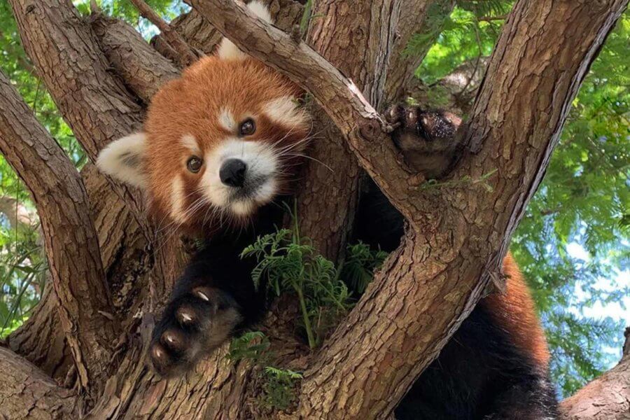 Things to do in Wichita, Kansas