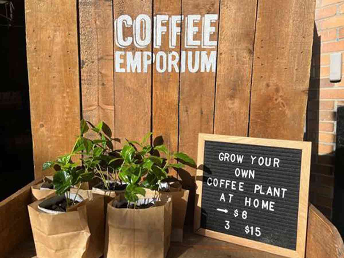 The Best Coffee Cities in America A Weekend In