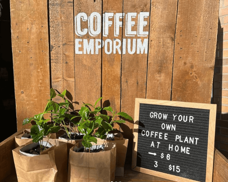 The Best Coffee Cities in America