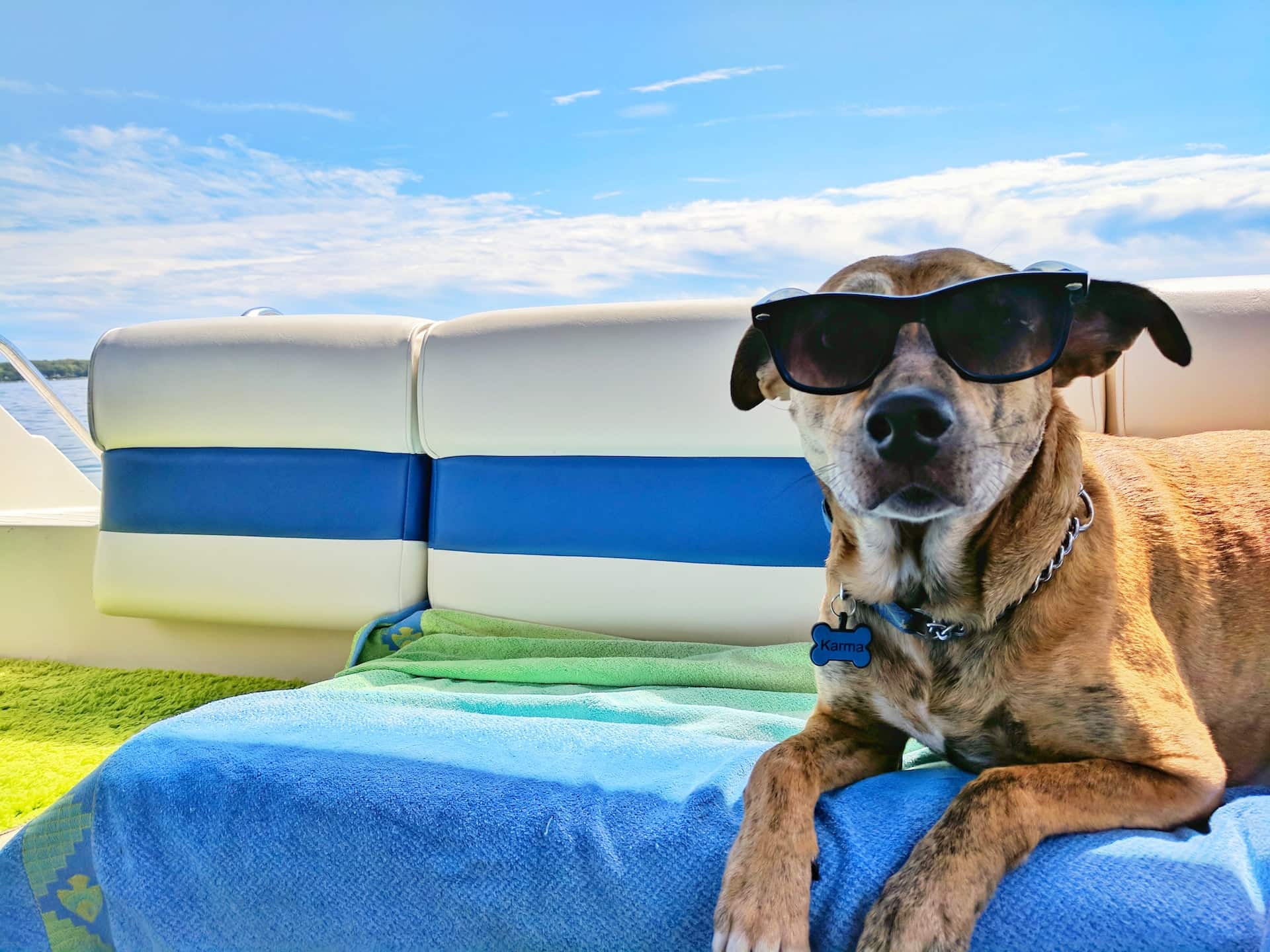 The Best Dog-Friendly Vacations For You and Your Pup