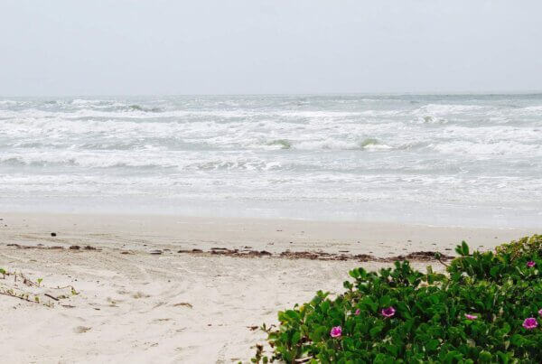 a beach at corpus christi texas