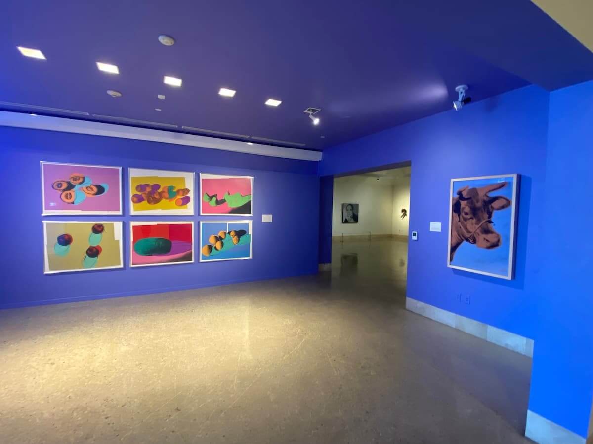 a colorful exhibit at the at museum of south texas