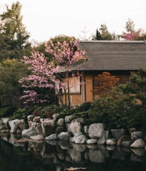 a picturesque scene in the asian garden section of the Meijer Gardens in Grand Rapids, Michigan