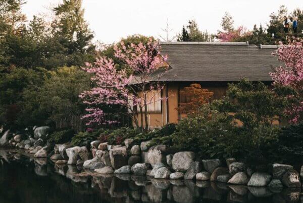 a picturesque scene in the asian garden section of the Meijer Gardens in Grand Rapids, Michigan
