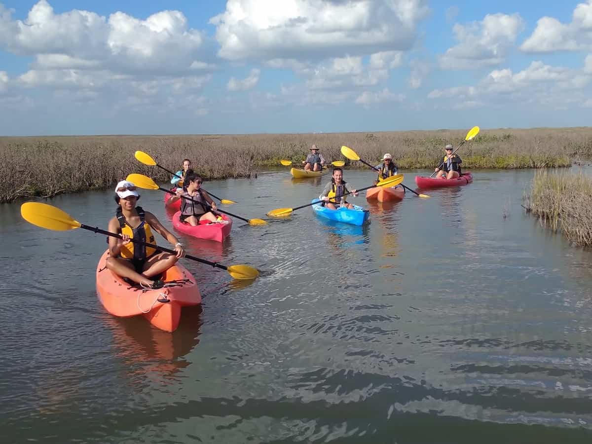 a group of kayakers making their way through the marsh habitats