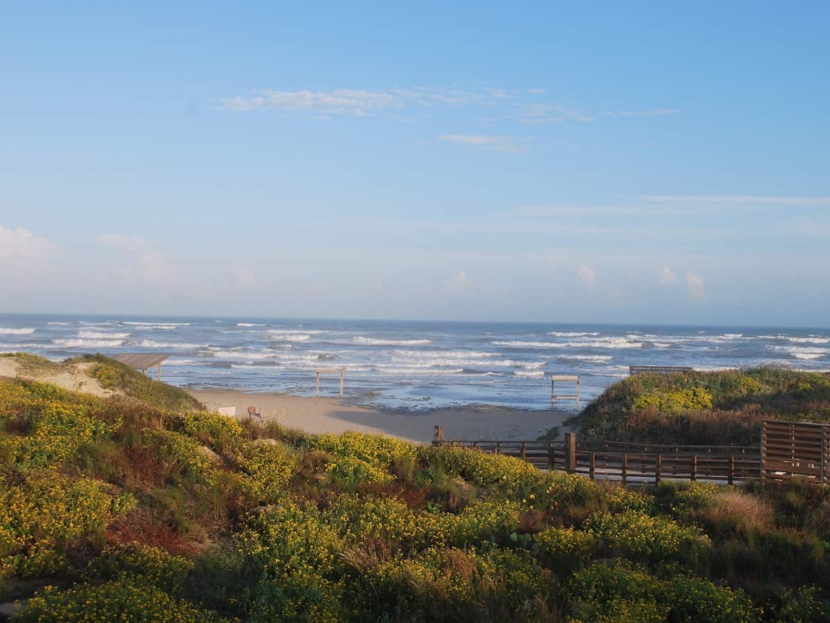 a view of the beautiful sand dunes, vegetation, and the ocean at padre island national seashore
