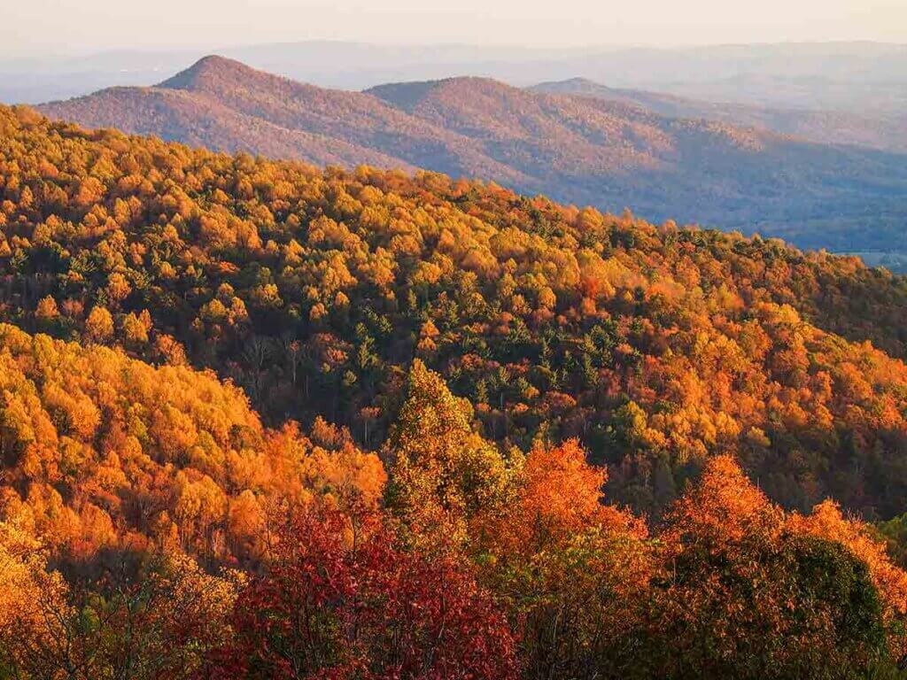 An expansive aerial view of the Shenandoah national park in autumn