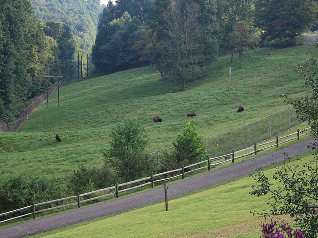 View of rolling hills of West Virginia State Wildlife Center