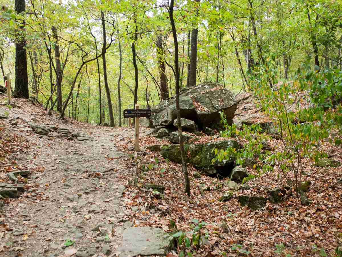 View of a trail at Devil's Den State Park