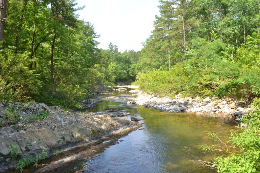 View of the Cossatot River