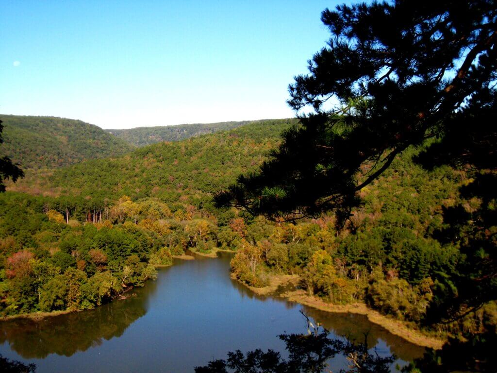 View of a lake in the Ozark National Forest