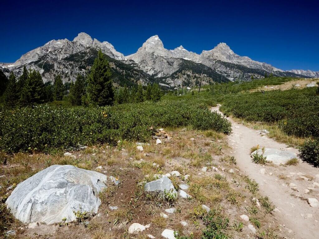 Mary Mountain Trail