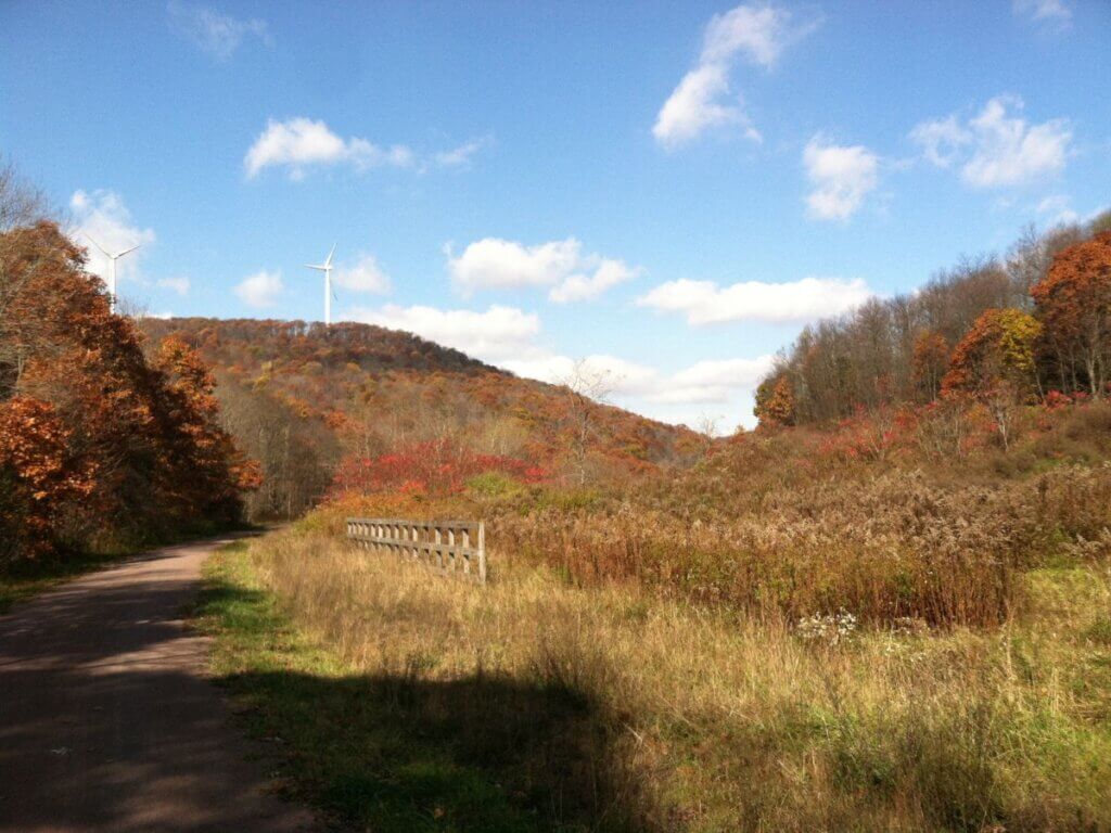 View of The Great Allegheny Trail in Fall