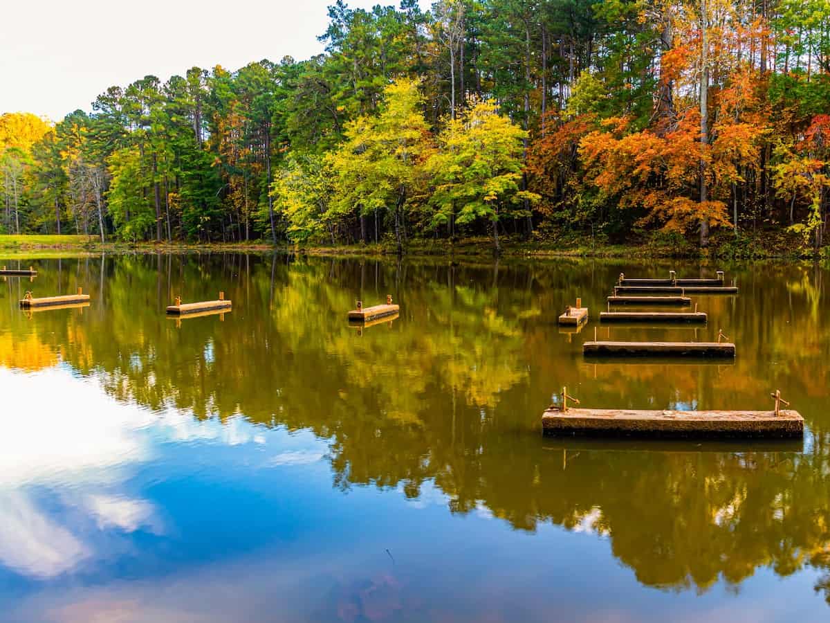 a view of the lake and colorful fall trees at the william b umstead state park