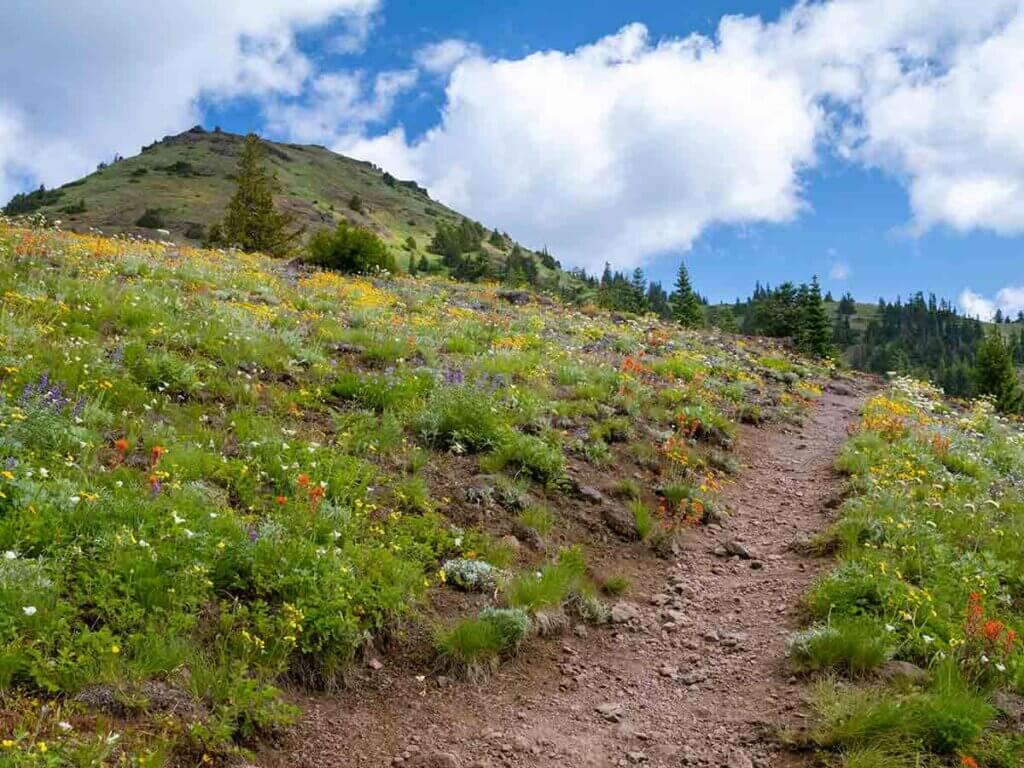 Iron Mountain/Cone Peak Trail