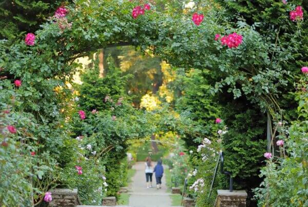 International Rose Test Garden