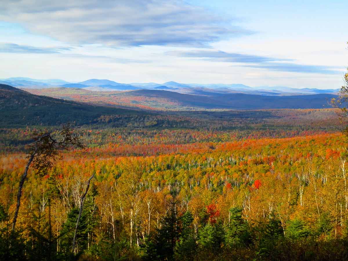fall colors of the Great North Woods in new hampshire