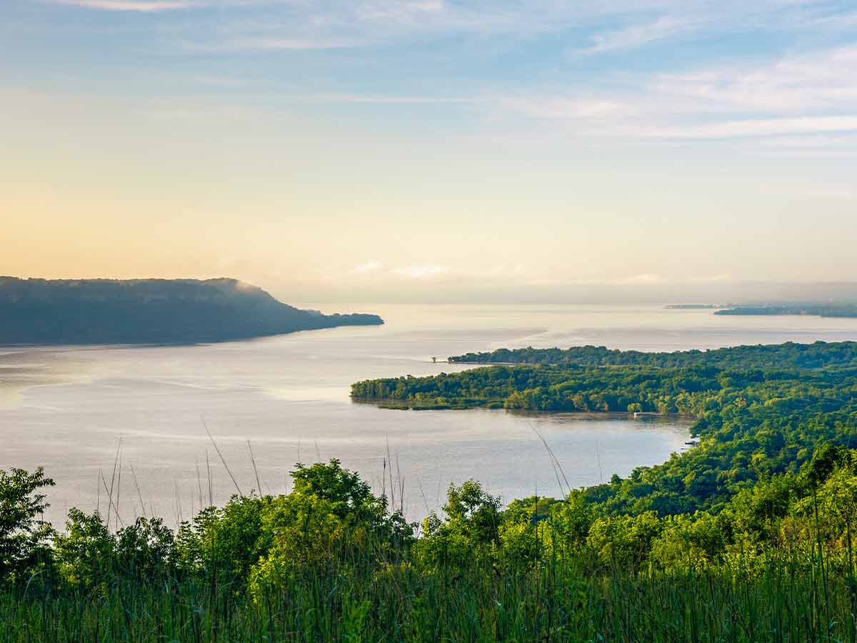 lake pepin and forest