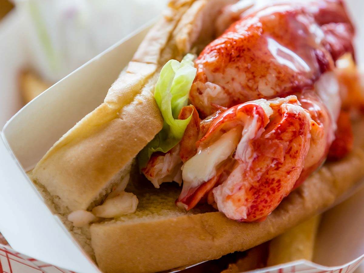 a tasty lobster roll in maine