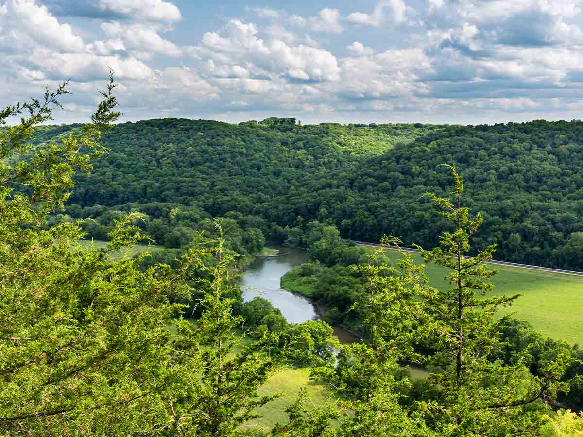 a lush green valley at root river valley 
