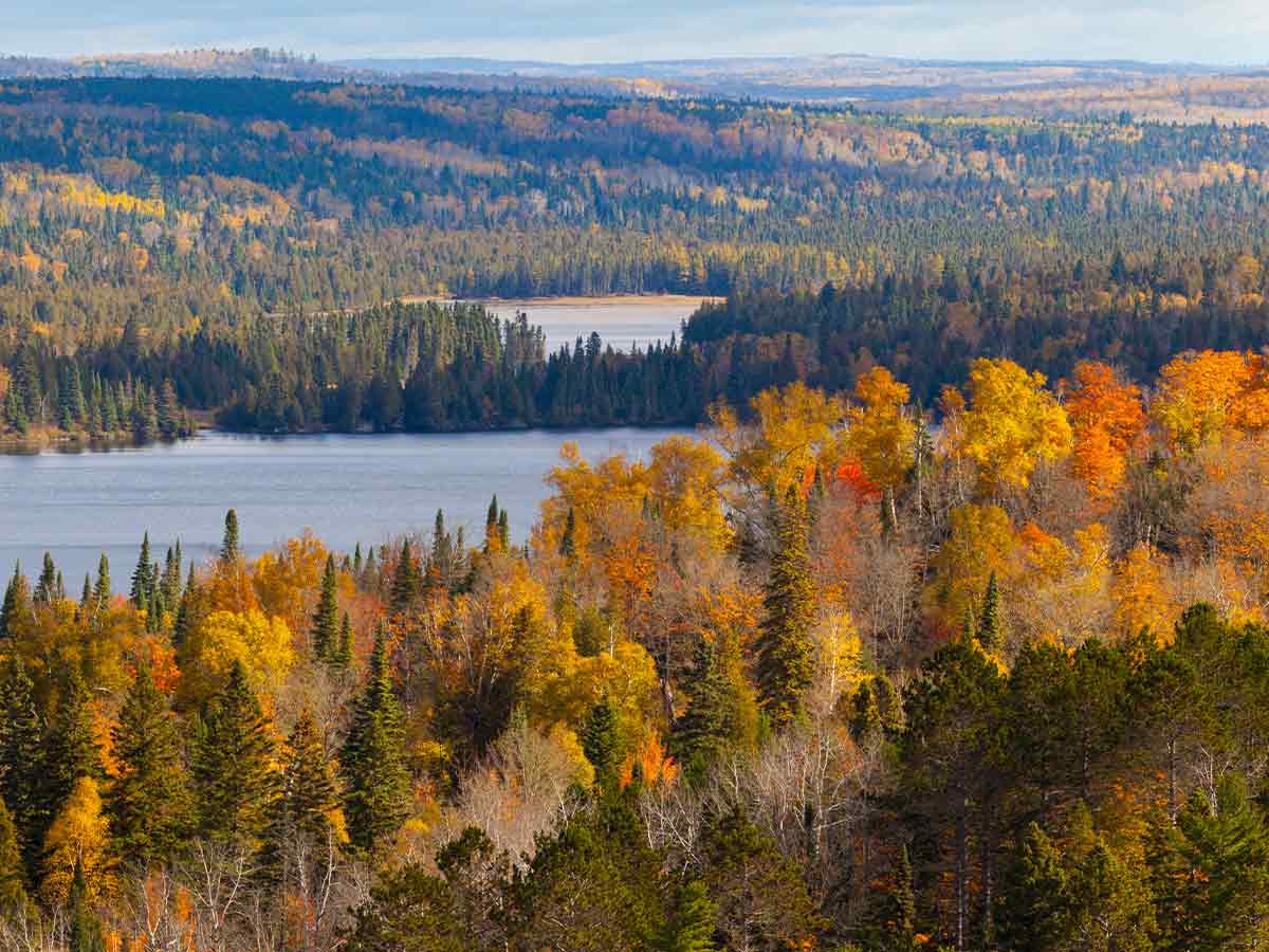 colorful fall trees at superior national forest scenic byway in minnesota