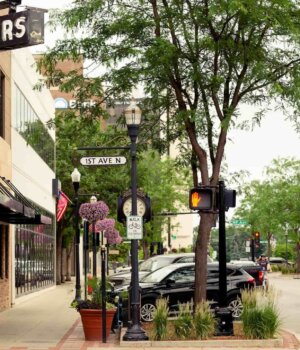 a view of a tree-lined street in downtown fargo, north dakota