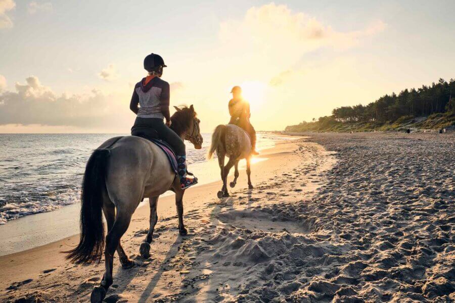 Newport Equestrian Academy