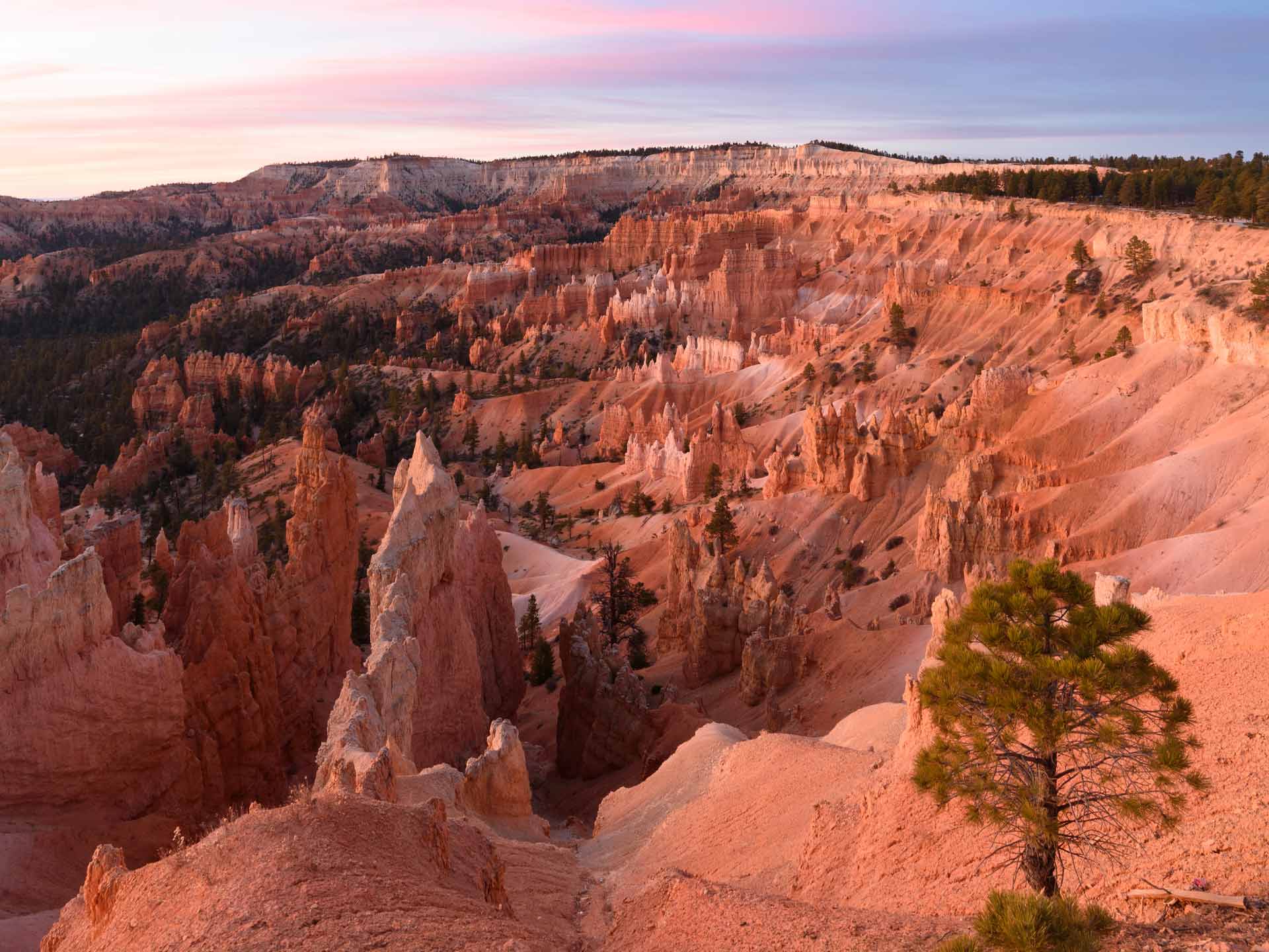 Best Day Trips from Las Vegas: Beyond the Strip