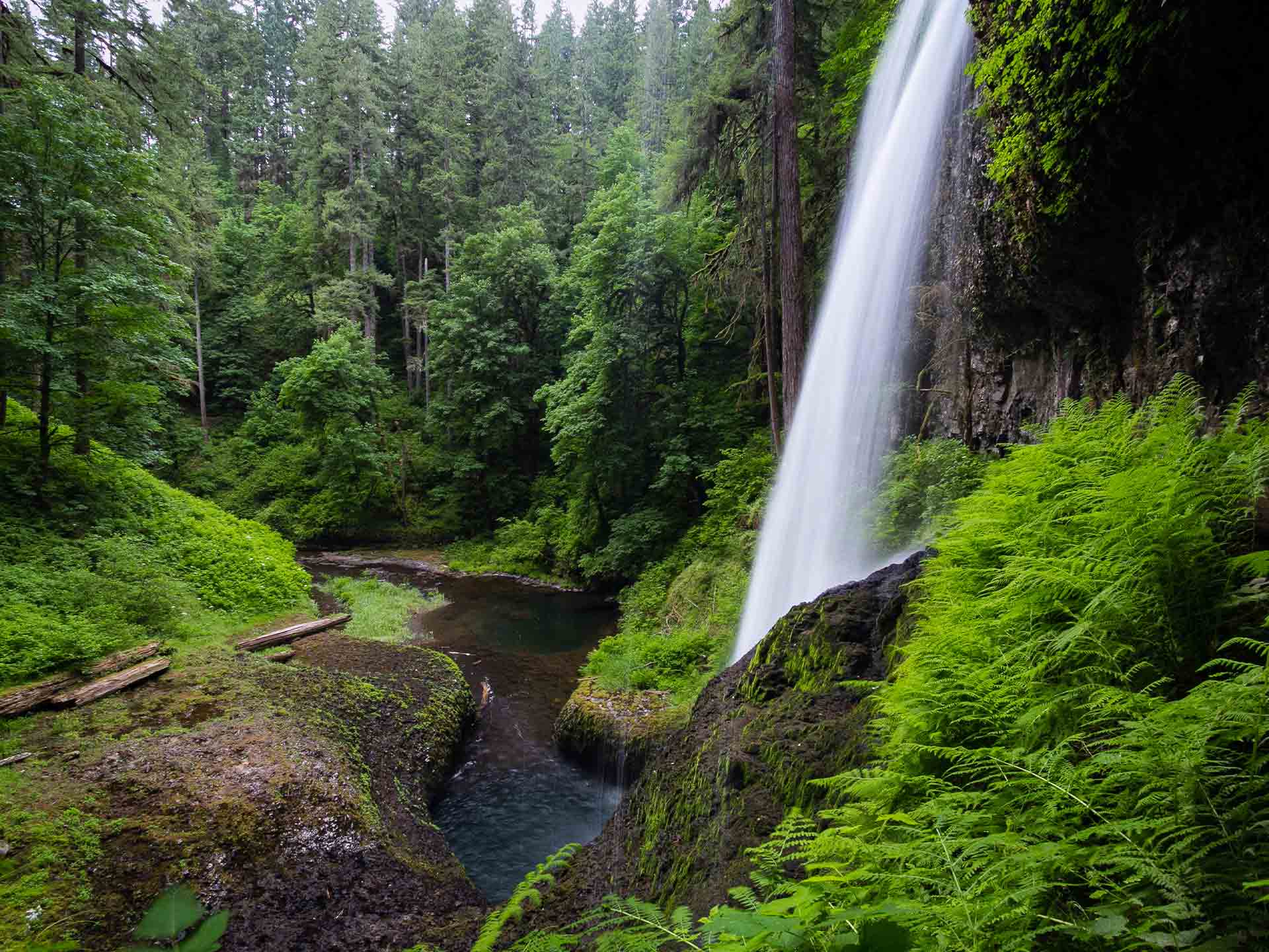 The Best Hiking Spots In Oregon: A Guide To The Top 15 Trails