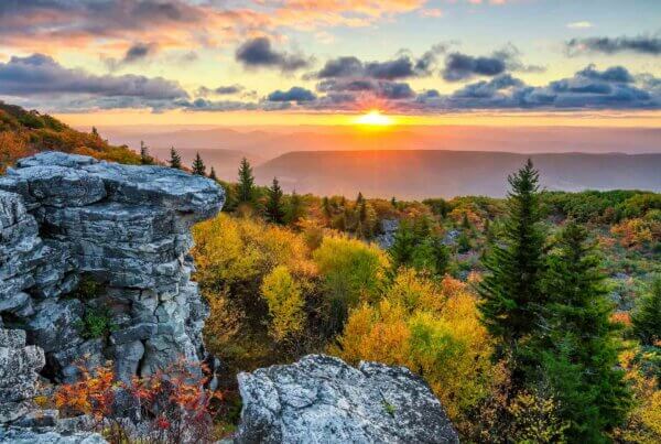 Dolly Sods Wilderness