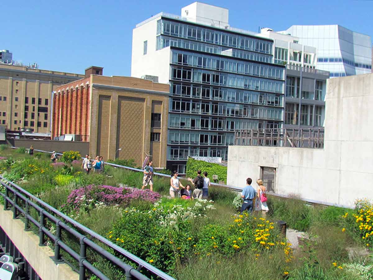 a view of plants along the high line