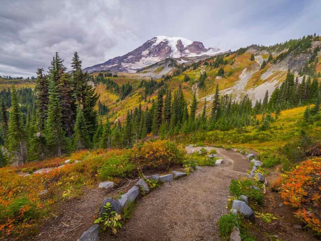 Harry's Ridge Trail